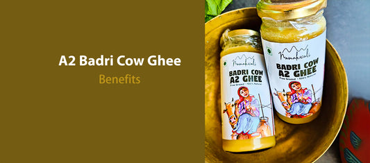 Badri cow ghee and its benefits