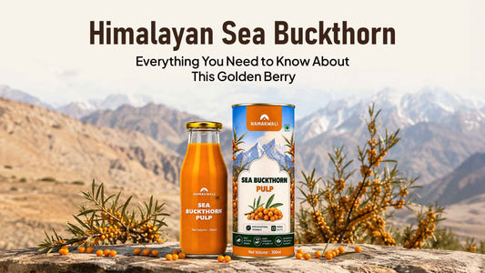 Namakwali seabuckthorn