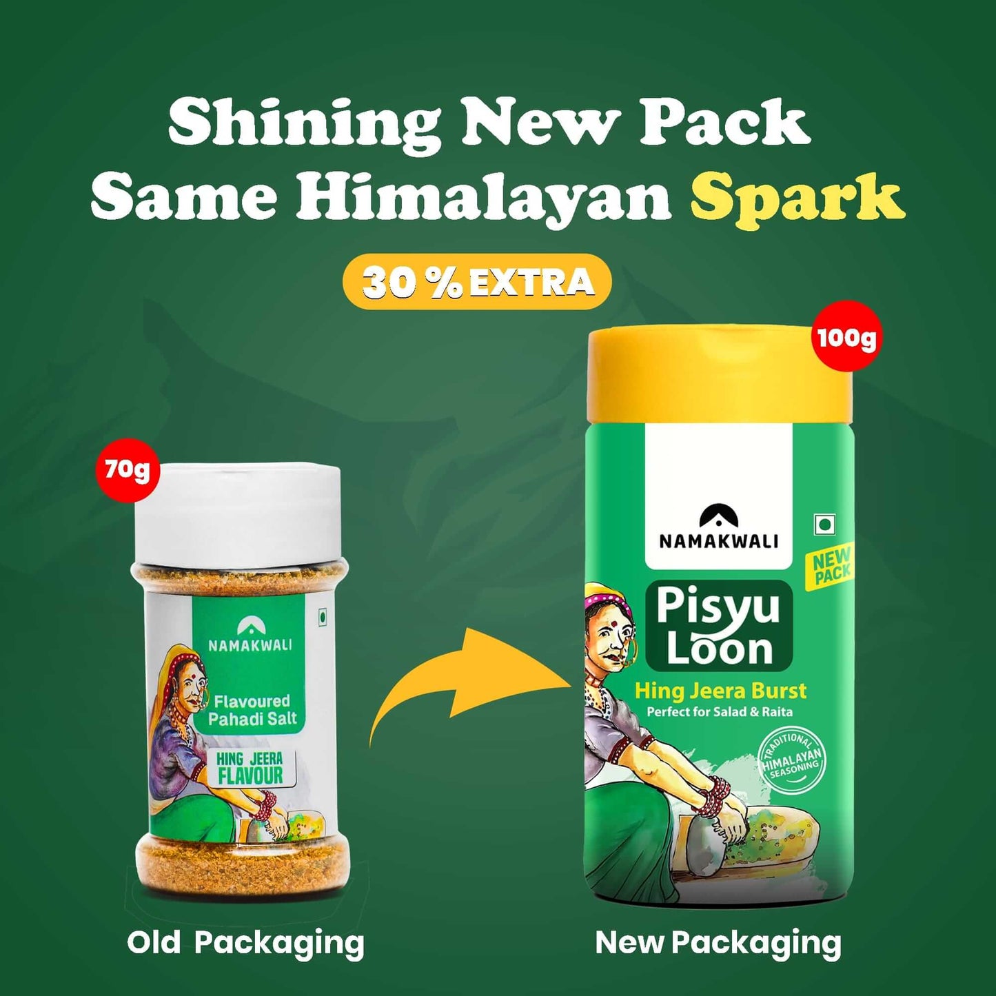 Pisyu Loon Flavoured Seasoning Salt (Hing Jeera Burst), 100g