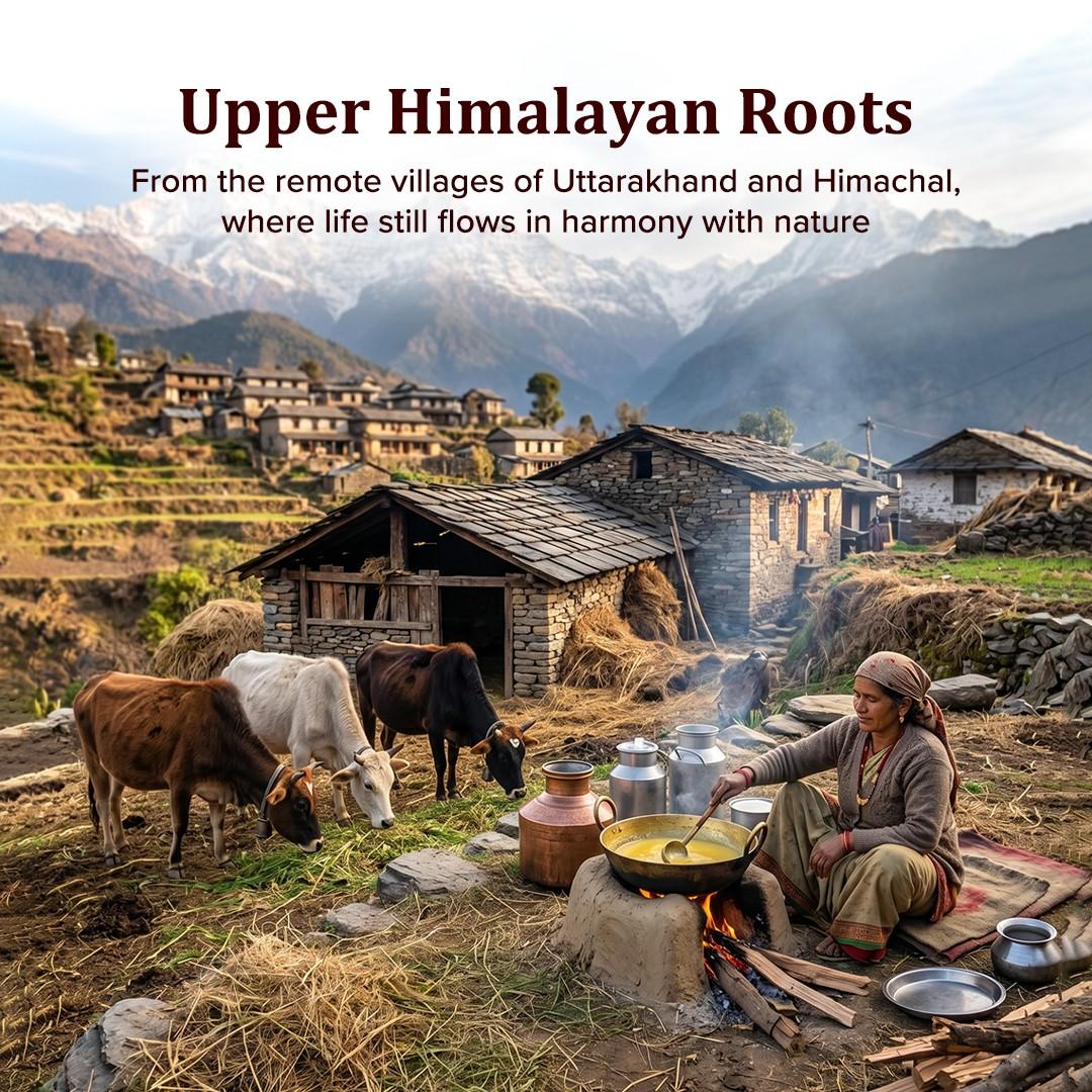 Himalayan Village A2 Ghee, 5L