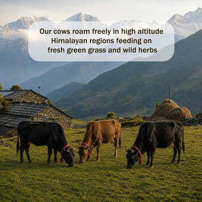 Himalayan village ghee