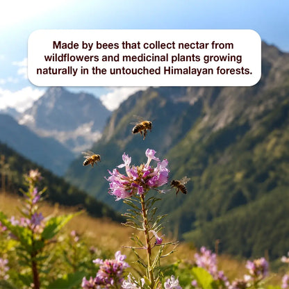 Pahadi Multi Flora Honey, 130g